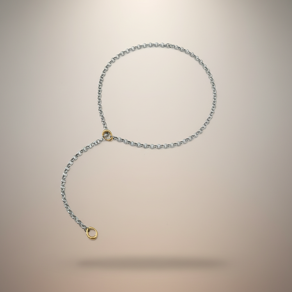 The Two-Tone Bolo Chain